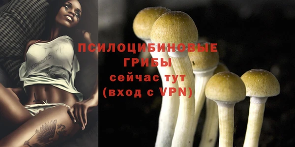 эйфоретик Алексин