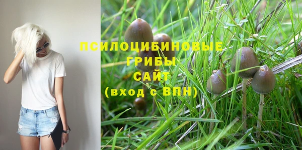 эйфоретик Алексин