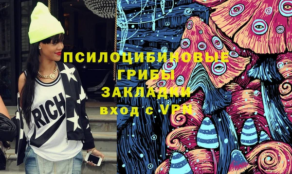 эйфоретик Алексин