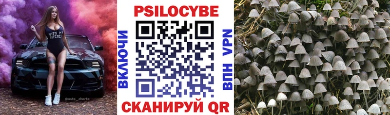 купить наркотики цена  Шелехов  Псилоцибиновые грибы GOLDEN TEACHER 